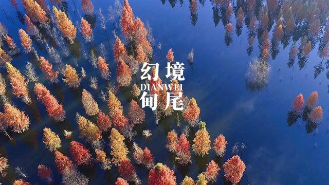 探索有关冯巩2个女徒弟,贾玲长得胖大火,另一个呢?的问答-冯巩2个女徒弟,贾玲长得胖大火,另一个呢?问答网