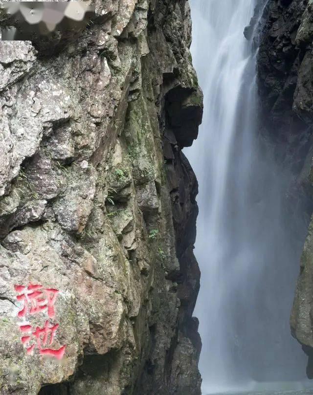探索春季怎样煲汤才最营养,解决疑问轻松快捷